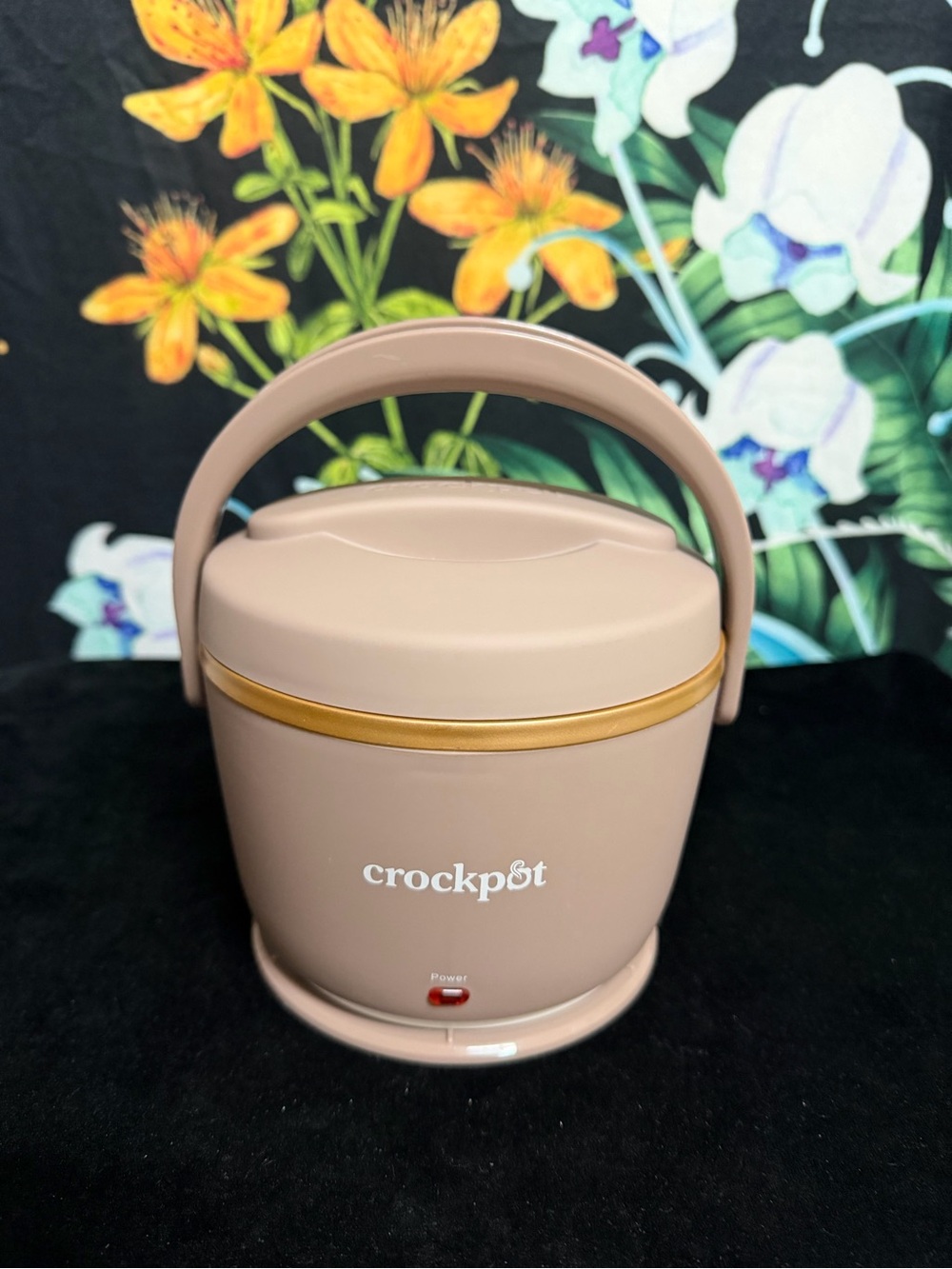 Crockpot Compact Electric Cooker in Taupe with Gold Trim